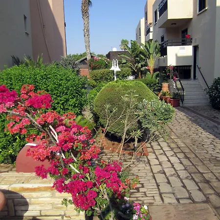 Senator - Adults Only 4*