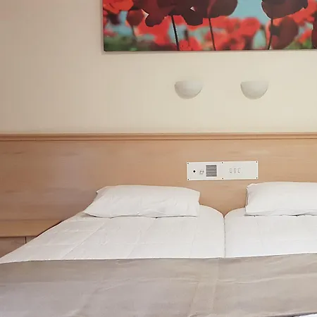 Senator - Adults Only アヤナパ