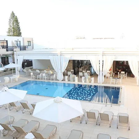 Senator - Adults Only 4*