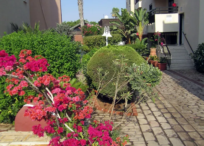 Senator - Adults Only 4*