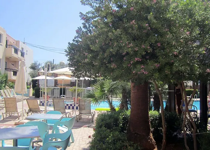 Senator - Adults Only 4*